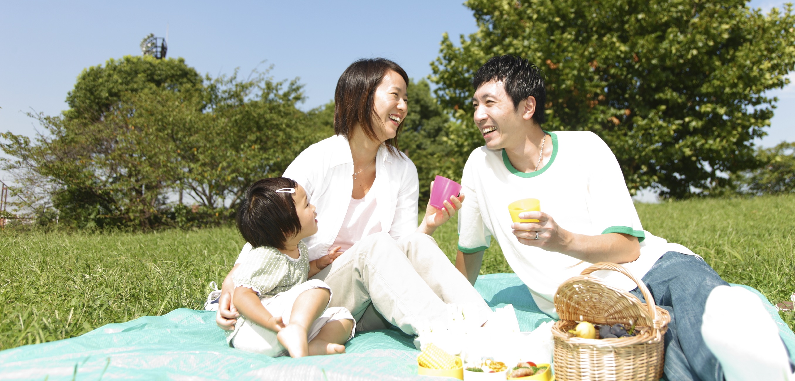 barbecue picnic