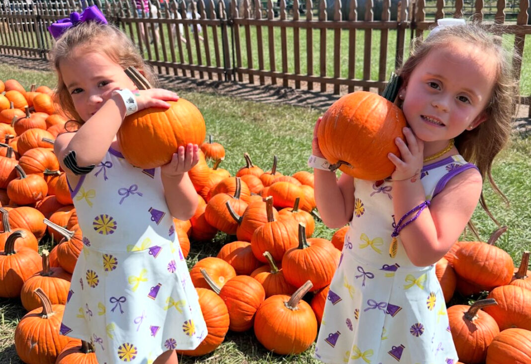 Pizzolatos in the Pumpkin Patch