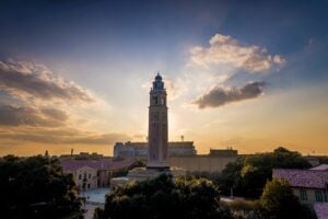 Lifelong learning, lasting connections: Inspiring stories from OLLI at LSU