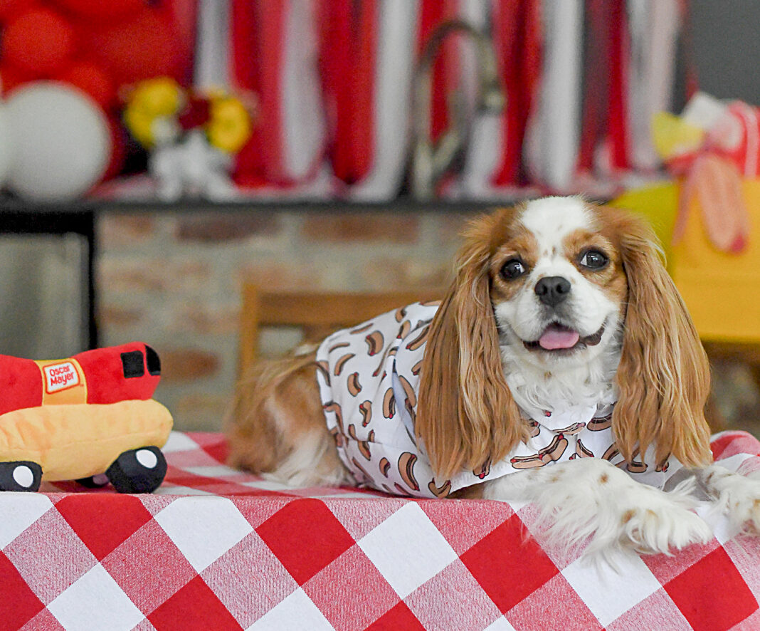 Aimee's Pretty Palate main